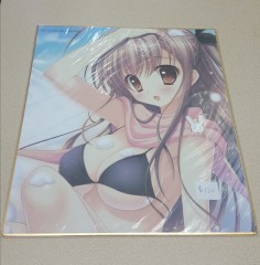 日本色紙 : 大 no.00273