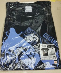 Type moon Fgo 原裝 短袖 衛衣 ( L size 藍 )
