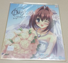 日本色紙 : 大 no.00202 ( D.C. )